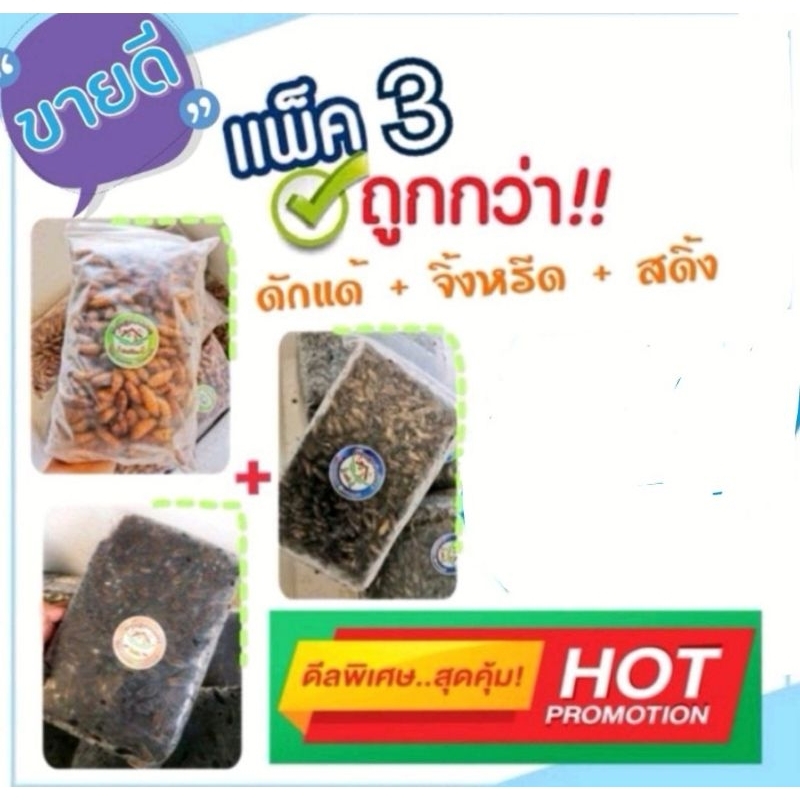 ดักแด้​+สดิ้ง+จิ้งหรีด​รวมกัน3กิโลกรัม​ฟรีลังโฟมครับ