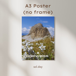 [A3 Poster] โปสเตอร์แต่งห้อง ขนาด A3 ลายดอกไม้ Edelweiss