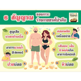 Tempeh Busita - พรีเมี่ยม เทมเป้ อบนิ่ม พร้อมทาน โปรตีนสูง