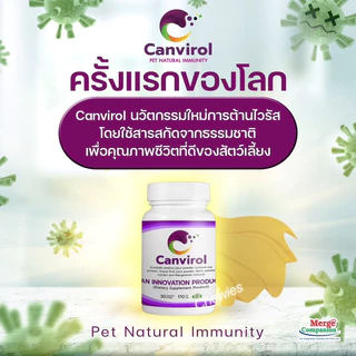 Canvirol 170mgและ850 mg(บรรจุ10-30แคปซูล)อาหารเสริมภูมิต้านทานสุนัขและแมว