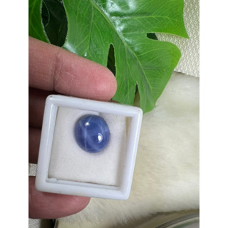 Star sapphire 12x14mm 1 pieces 7.90 carats