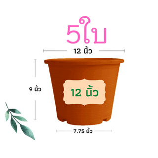 กระถางต้นไม้พลาสติก กระถางต้นไม้ กระถางแคตตัส กระถาง สีอิฐ 12 นิ้ว 5ใบ ราคาส่ง