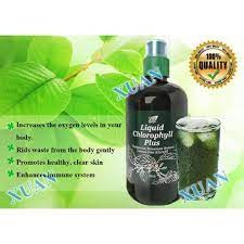 คลอโรฟิลล์ พลัส Liquid Chlorophyll Plus  ชนิดน้ำ 500 มล.  (คลอโรฟิลล์คอสเวย์) ล้างสารพิษ ต้านอนุมูลอิสระ