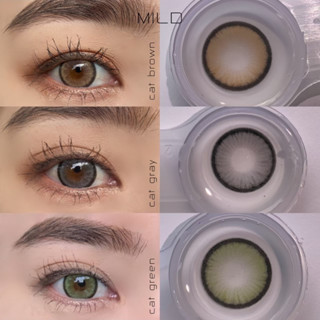 ส่งฟรีทุกขนส่ง สีCAT รายปี (วัสดุMPC ขนาด14.5) คอนเเทคเลนส์ idollens isha