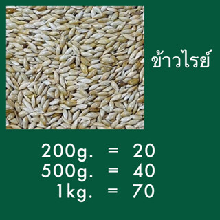 ⓅⓀⒻ 🌾อาหารนก ข้าวไร สำหรับนก