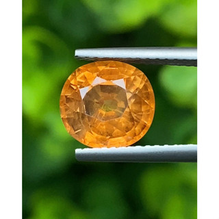 พลอย บุษราคัม yellow sapphire 3.32 กะรัต (Cts.)