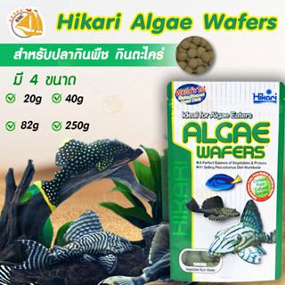 Hikari Algae Wafers อาหารปลา สำหรับปลากินพืช กินตะไคร่ แบบเม็ดจม สำหรับปลาพื้นตู้ ปลาแพะ ปลาหมู ปลาซัคเกอร์ เม็ดจม