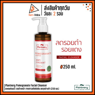 Plantnery Pomegranate Facial Cleanser แพลนท์เนอรี่ เจลล้างหน้า จากสารสกัดทับทิม ลดจุดด่างดำ (250 มล.)