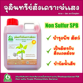 หัวเชื้อจุลินทรีย์สังเคราะห์แสงสีม่วงกลุ่มไม่สะสมกำมะถัน Rhodospirillaceae PSB (บำรุงดิน บำรุงต้นไม้) ตราไร่กฤติยา 1ลิตร