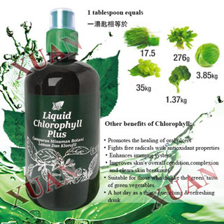 Liquid Chlorophyll Plus คลอโรฟิลล์ พลัส ชนิดน้ำ 500 มล. ของแท้100% (คลอโรฟิลล์คอสเวย์) ล้างสารพิษ ต้านอนุมูลอิสระ