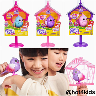 ✅ Little Live Pets Lil Bird &amp; Bird House 💰จ่ายปลายทางได้ 💵แท้💯