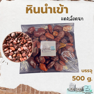 🌵หินนำเข้า แดงเลือดนก บรรจุ 500 g. หินโรยกระถาง 🪴🪴 หินโรยหน้ากระถาง หินตกแต่งสวน หินตกแต่งตู้ปลา🌵