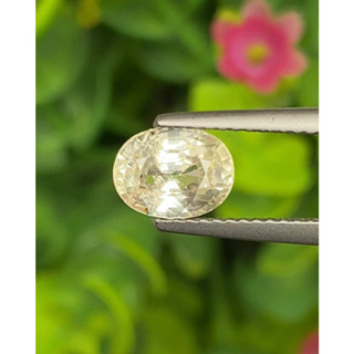 พลอย บุษราคัม (Yellow Sapphire) 1.94 กะรัต (Cts.) ดิบ (Unheated) พร้อมใบเซอร์