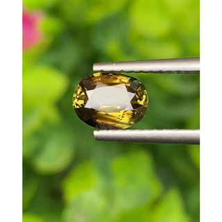 พลอย บุษราคัม yellow sapphire 1.28 กะรัต (Cts.) ดิบ Unheated