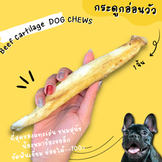 Cartilage cleans teeth dog chew กระดูกอ่อนวัว 100% ย่อยได้ กระดูกขัดฟัน แทะเล่น ขนมสุนัข ขนมหมา umm