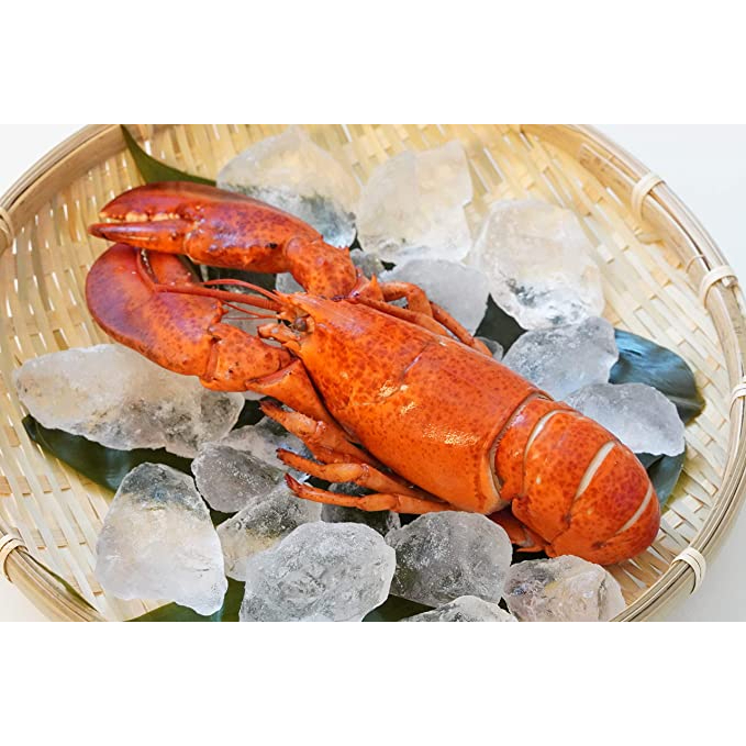 กุ้ง Canadian Lobster 500-600G/ตัว แช่แข็ง เนื้อแน่นแน่น