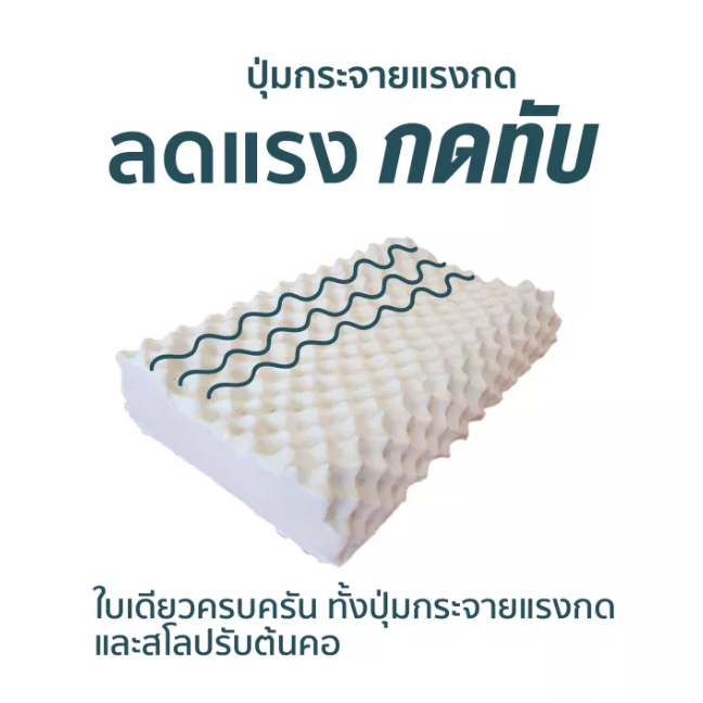 WellPlus หมอนยางพาราแท้ ลดกรน ไม่ปวดคอ จัดระเบียบกระดูกสันหลัง รูปที่ 3