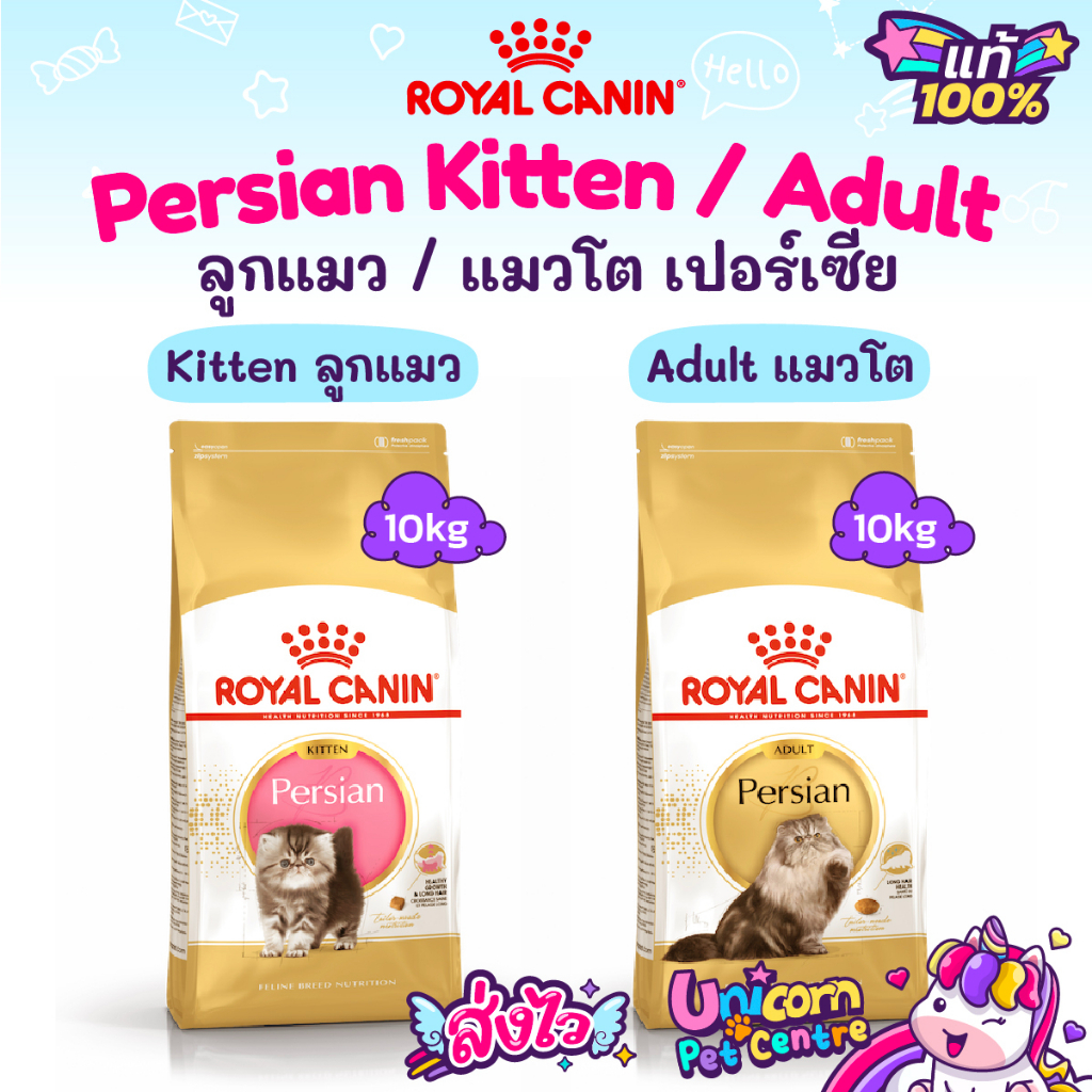 Royal Canin Adult Persian 10kg อาหารแมวโตเปอร์เซ๊ย / Kitten Persian 10kg ลูกแมวเปอร์เซีย ถุง 10 กก