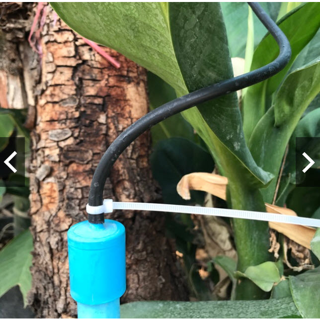 (เซ็ต 100 ตัว) ฝาครอบ มีก้าน สวมท่อ PVC ขนาด 1/2″ (4 หุน) กับต่อมินิสปริงเกอร์ หรือสายไมโคร 4/7 5/7 ราคา ถูกที่สุด ดีลบีเคเค แกลเลอรีภาพที่ 2
