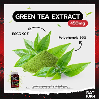 BAT FURN Green Tea Extract แบท เฟิร์น กรีนที EGCG 90%