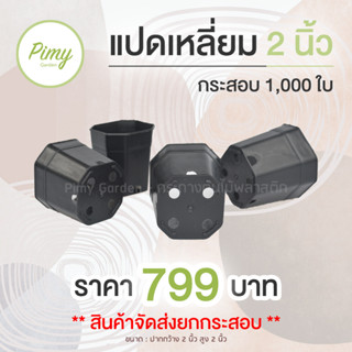 (กระสอบ 1,000 ใบ) กระถางแปดเหลี่ยม 2 นิ้ว สีดำ ส่งตรงจากโรงงานไม่ต้องใช้โค้ด