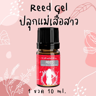 📌ของแท้ ส่งฟรี📌 Reed เจล เจลเพิ่มอารมณ์ สำหรับผู้หญิง ยานวด ใช้ทาปลุกอารมณ์ (ไม่ระบุสินค้าหน้ากล่อง)