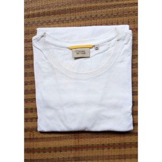 เสื้อยืด Camel t shirt