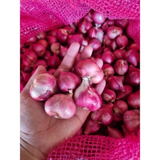 หอมแดงตัดจุก เบอร์ใหญ่ 💥(ไม่ใช่หอมร่วง) 1 กิโลกรัม / shallot 1 kg / 1公斤小葱