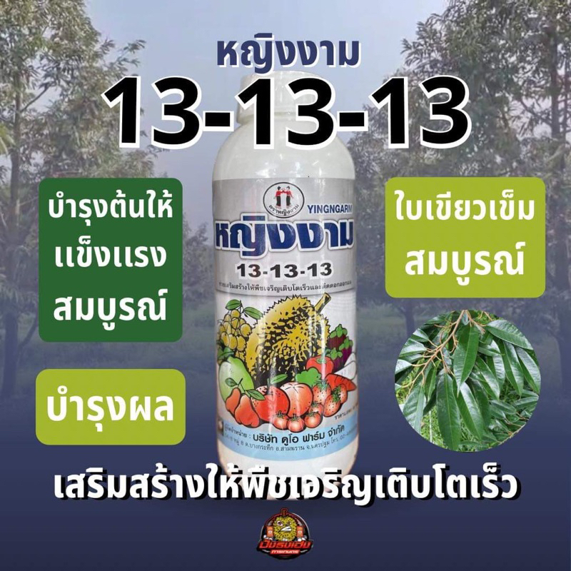 My Image 21