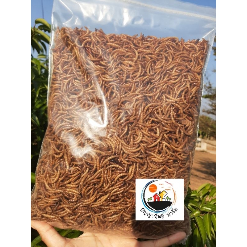 อาหารเสริมสัตว์เล็ก-หนอนนกอบแห้ง ขนาด 1000 กรัม Dried Mealworms (คัดอย่างดี ไม่ปรุ่งแต่งสีและกลิ่น) อบสดใหม่ทุกวัน