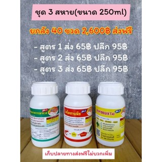 ชุดสามสหายขนาดบรรจุ 250 ML แบบยกลัง