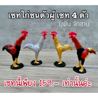 ไก่ชน ตัวผู้ ถวายไอ้ไข่ { มี 4 สี } ( รหัส K04 )