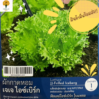 เมล็ด ผักกาดหอมเจเจ ไอซ์เบิร์ก ( Lettuce JJ-Frilled Lceberg )