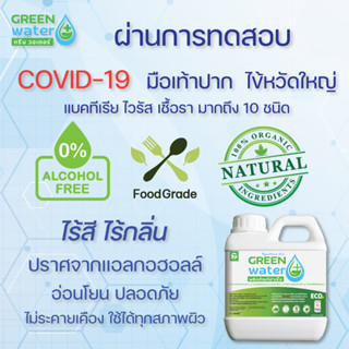 GREEN WATER ELECTROLYTE WATER CLEAN SOLUSION น้ำยาฆ่าเชื้อไร้แอลกอฮอล์ กรดไฮโปคลอรัส HOCl 1000 ML Food Grade