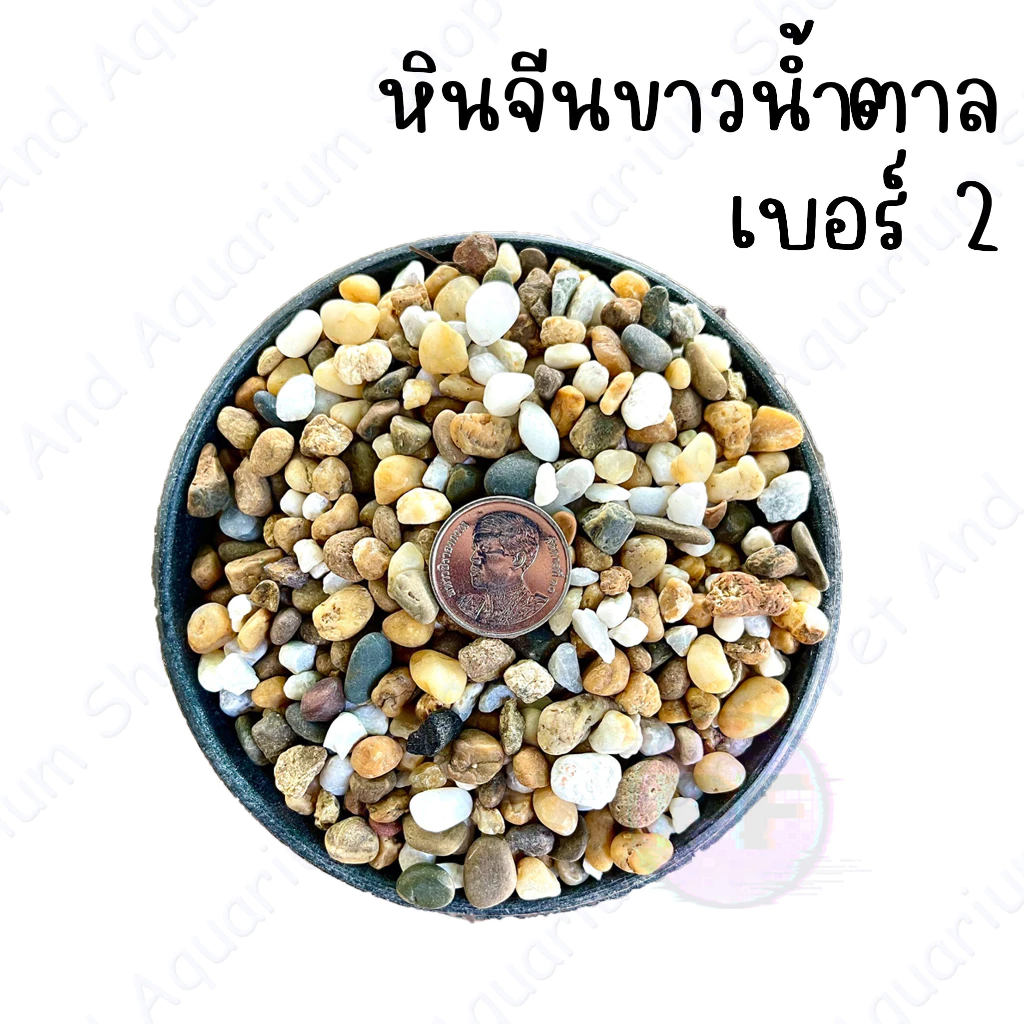 หินจีนขาวน้ำตาล หินตกแต่งตู้ปลา หินโรยหน้ากระถ่างต้นไม้  1 กิโล 20 thumbnail 4