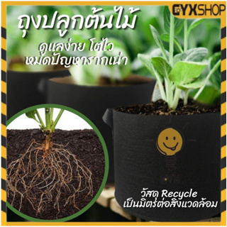 Non-woven fabric Grow bag กระถางผ้า สีดำ กระถางผ้าปลูกต้นไม้ ถุงปลูกต้นไม้ กระถางต้นไม้