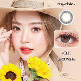 คอนแทคเลนส์สี รายวัน PEGAVISION รุ่น Forest Miracle สี Blue (10 เลนส์/กล่อง)