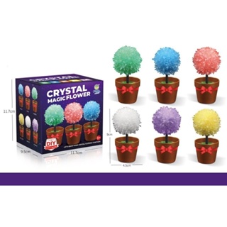 Crystal magicflower ของเล่นเสริมพัฒนาการ