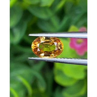 พลอย บุษราคัม yellow sapphire 1.23 กะรัต (Cts.)