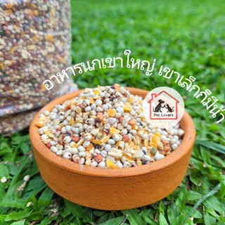 อาหารนกเขาใหญ่  อาหารนก ขนมนก นกเขาชวา นกเขาแขก นกอื่นๆ เกรดพรีเมี่ยม  bird food แบบแบ่งขาย (1kg)