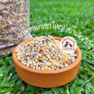 อาหารนกเขาใหญ่  อาหารนก ขนมนก นกเขาชวา นกเขาแขก นกอื่นๆ เกรดพรีเมี่ยม  bird food แบบแบ่งขาย (1kg)