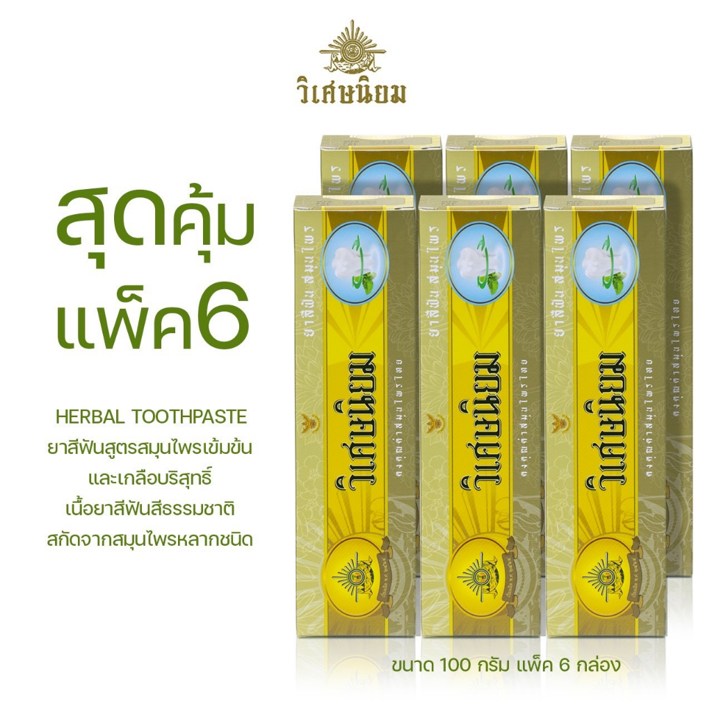 Lot ใหม่! VISET-NIYOM ยาสีฟันสมุนไพร และเกลือบริสุทธิ์ แพ็ค 6 หลอด 100 กรัม สูตรเข้มข้น อ่อนโยน ลดกลิ่นปาก สดชื่นยาวนาน