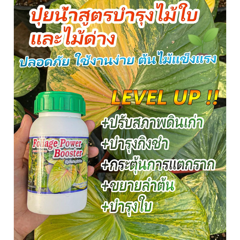 น้ำยาเร่งราก ปุ๋ยบำรุงไม้ใบ สารปรับสภาพดินจากธรรมชาติ 🇹🇭 FoliagePowerBooster (250ml)