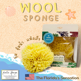 KALLA SPONGE ฟองน้ำธรรมชาติ ชนิด Wool สีเหลือง สำหรับอาบน้ำ (FREE EMS!!)