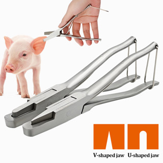 ราคาถูกสุด คีมตัดหูหมู คีมตัดเบอร์หูหมู ตัวV สแตนเลสแท้ ใช้ทำสัญลักษณ์หมู คีมสแตนเลสสําหรับหนีบหูหมู คีมคม ตัดง่าย
