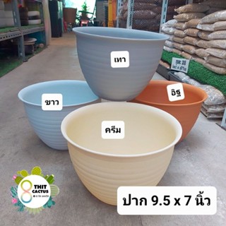 กระถาง กลม ก้นหอย 9.5 นิ้ว // กระถางแคคตัส กระถางพลาสติก กระถางเกษตร
