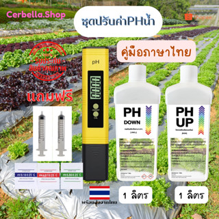 ชุดปรับค่าpHในน้ำ เซ็ทปรับค่าPHในน้ำ มิเตอร์วัดค่าPHน้ำ+น้ำยาปรับค่าpH Up&amp;Down pH Meter เครื่องวัดค่ากรด-ด่าง ในน้ำ