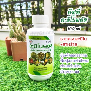 กรดอะมิโน+สาหร่าย ลีฟฟีอะมิโนพลัส 100ml่ เร่งแตกใบอ่อน ช่วยติดดอกบำรุงผล ฟื้นฟูสภาพต้นหลังเก็บเกี่ยว