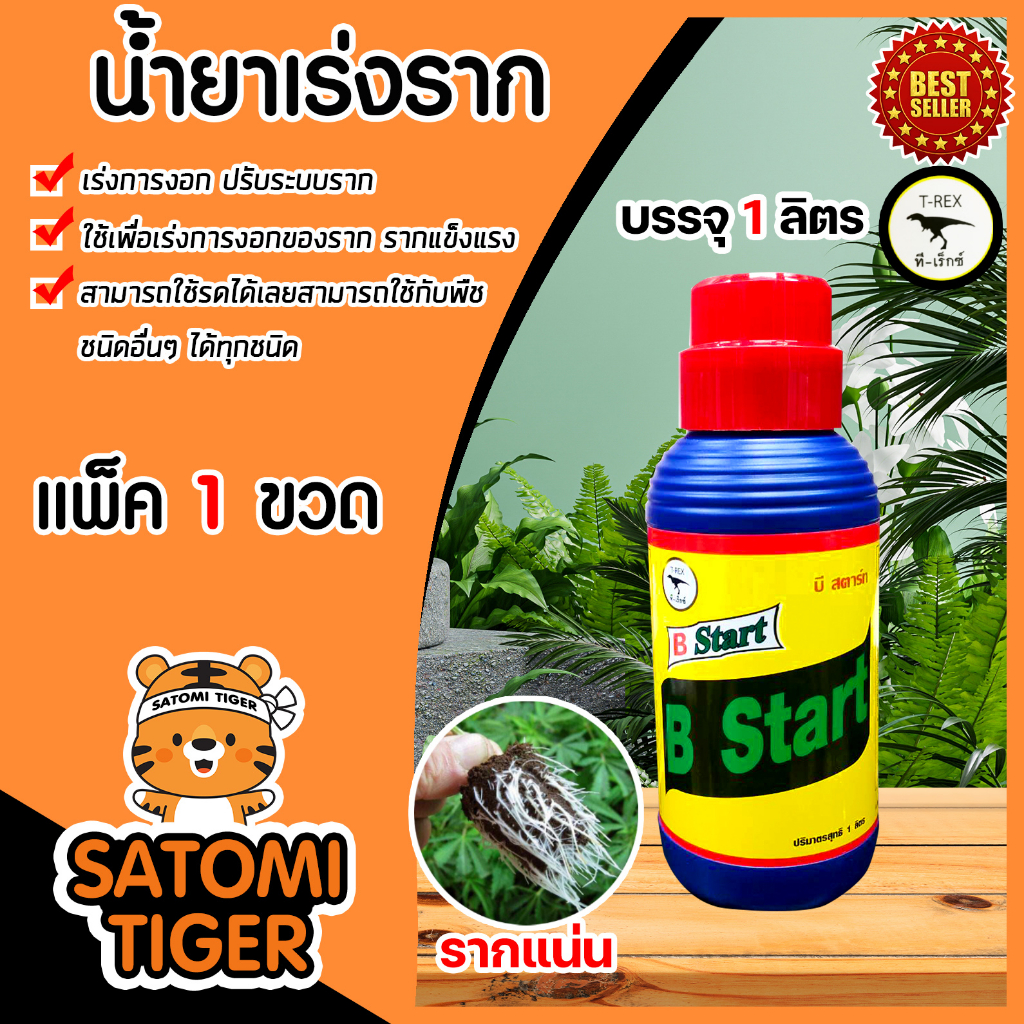 ทีเร็กซ์ น้ำยาเร่งราก วิตามินบี-1 B1 มีให้เลือก 2 ขนาด 1ลิตร และ4ลิตร  ทีเร็กซ์ บีวัน-สตาร์ท เร่งการ