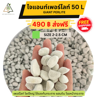 ✅ส่งฟรี ไจแอนท์เพอร์ไลท์ GIANT PERLITE 2-2.5 CM